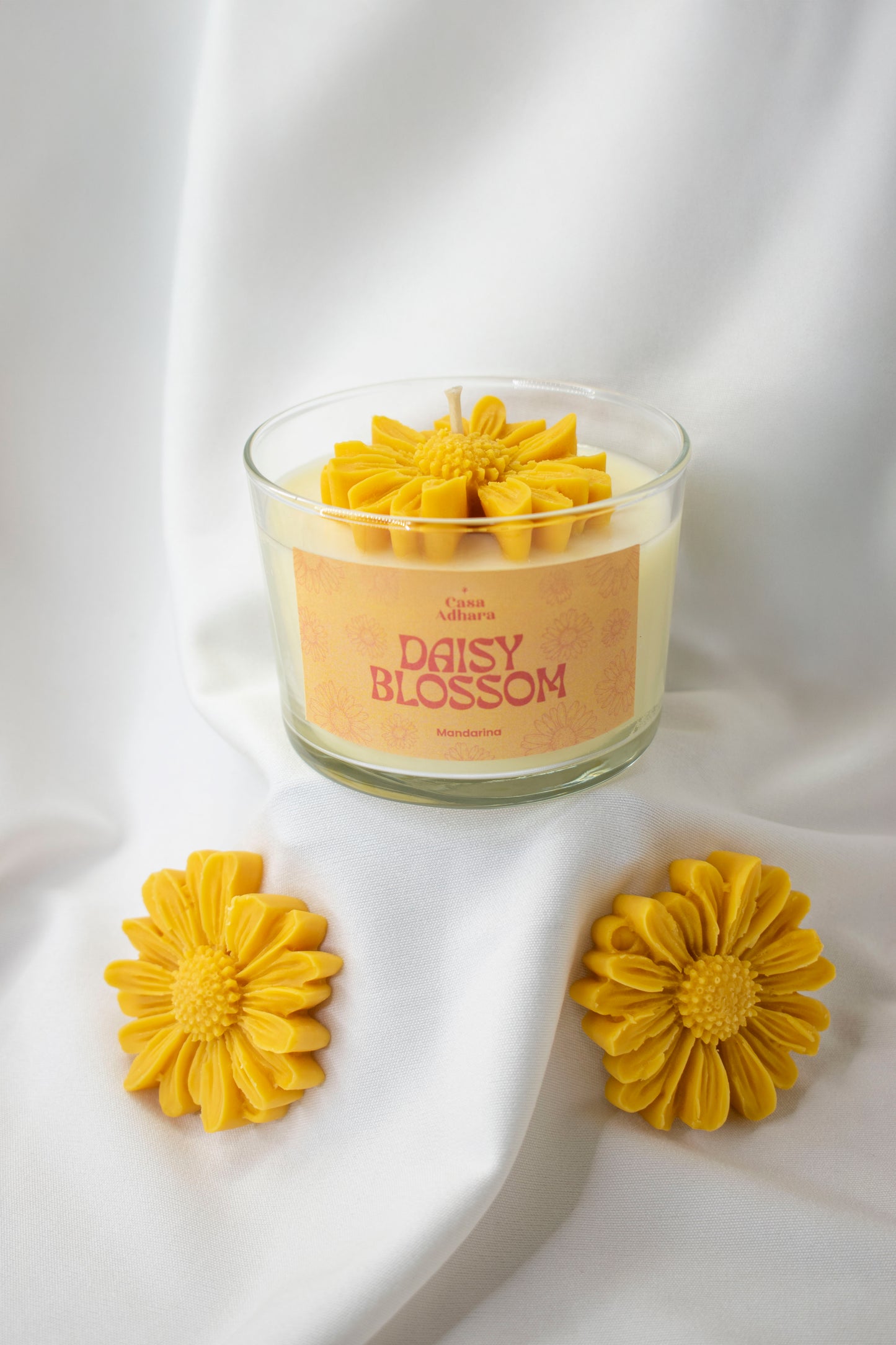 Daisy Blossom 🌼