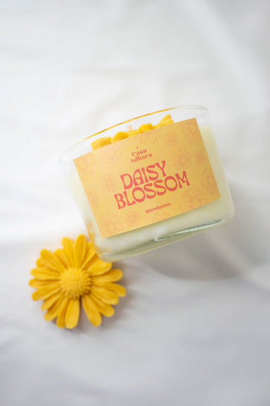 Daisy Blossom 🌼